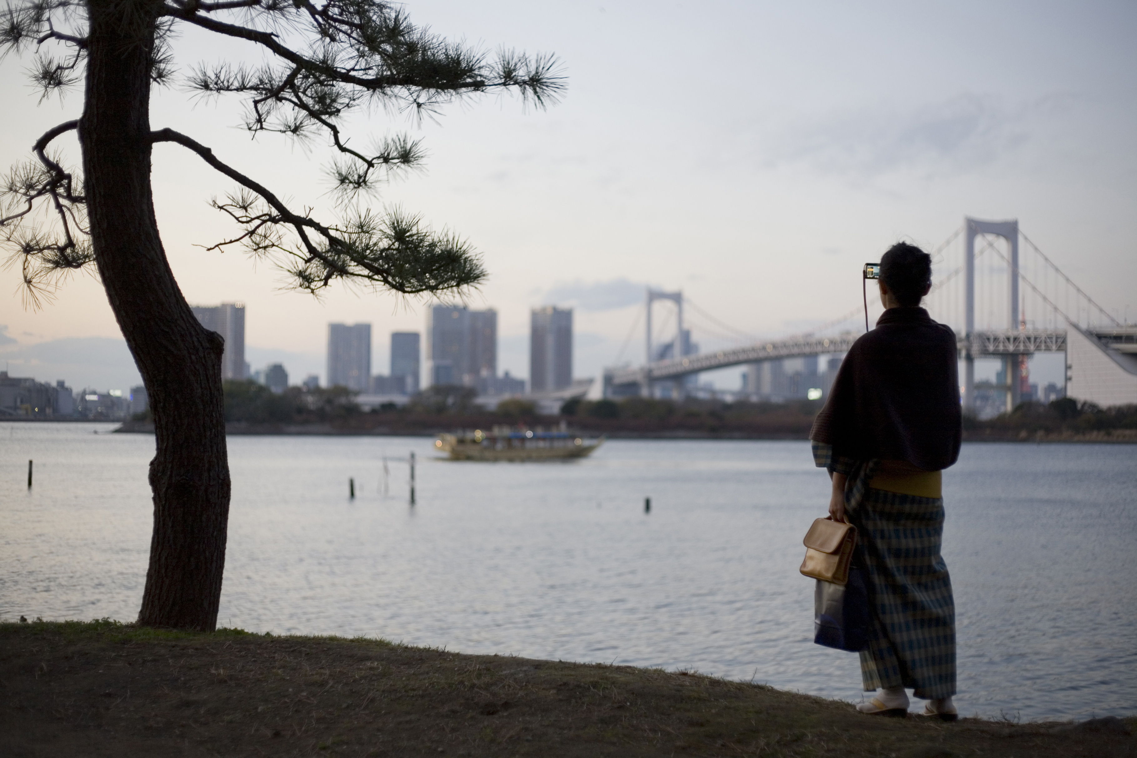 Le quartier de Odaiba offre une vue sur la mer et sur la ligne d'Horizon de Tokyo et du rainow bridge. C'est un endroit ou les Tokyoites aiment venir.